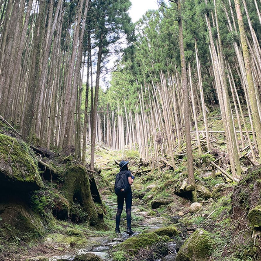 Kumano Kodo